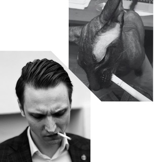 Логотип @lebenavocado - Правозащитный экстремизм