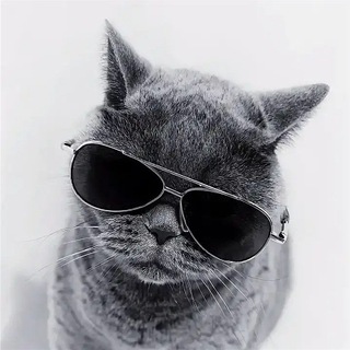 Логотип @lechatsavant - Le Chat Savant
