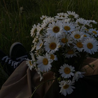 Логотип @lechiyo1 - Дагна улло дег.