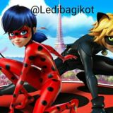 Логотип @ledibagikot - ledibagikot