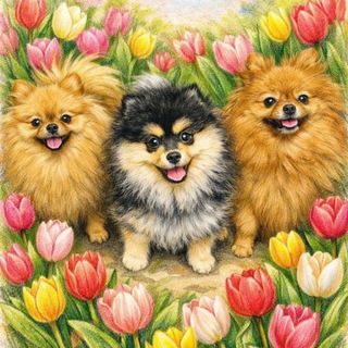 Логотип @ledies_shpitz - Леди Шпиц