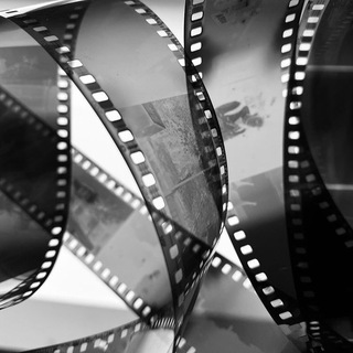 Логотип @ledovskayashooting - Ledovskaya Пробы