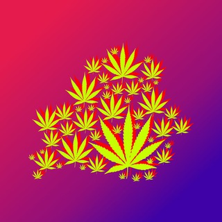 Логотип @legalizebelarusgroup - Legalize Belarus Group