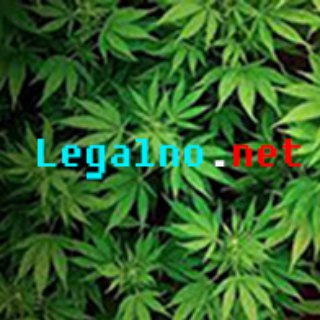 Логотип @legalno_net - Легально.Нет