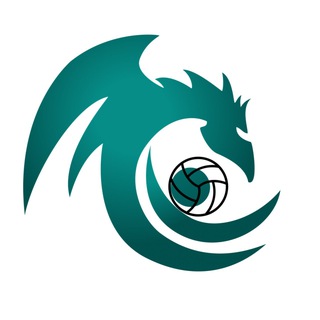 Логотип @legenda_volleyball - LEGENDA | ВОЛЕЙБОЛ