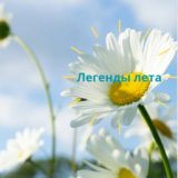 Логотип @legendyleta - Легенды лета
