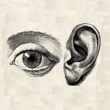 Логотип @lem612 - Доступен в APK версии