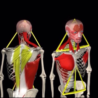 Логотип @leokeymove - Leo K. Move⚡️