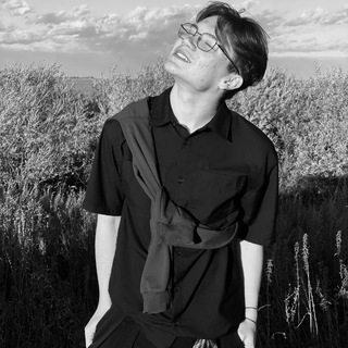 Логотип @leonchapp - леон чап