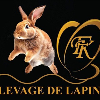 Логотип @lepetitelevagefk - 3- INFO - CANAL LE PETIT ÉLEVAGE Fk / PRODUITS DE SANTÉ INDIEN