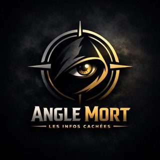 Логотип @leprinceofficial - Angle Mort 🇨🇲
