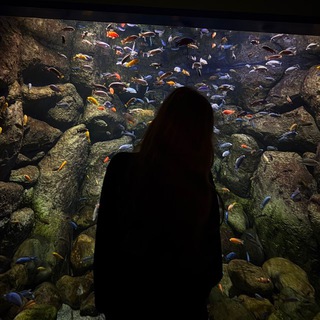 Логотип @leraaboutenglish - idk English 🇺🇸