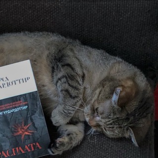 Логотип @leraotterchat - 🦦📚