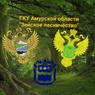 Логотип @lesnichestvozeya - ЗейскоеЛесничество🌳🌲