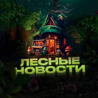 Логотип @lesnoeoblovlenie - Лесной Канал 🏕
