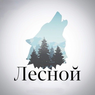 Логотип @lesnoy_ch - Лесной - Фотографии леса, природы