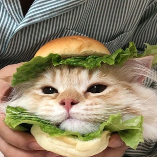 Логотип @lesscat - lesscat