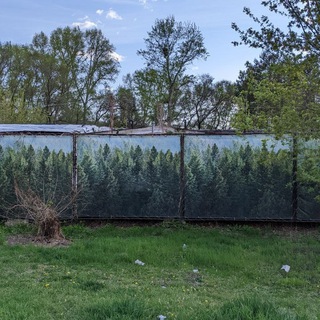 Логотип @lessisbore - less is a bore \ лес и забор 🌳🚧