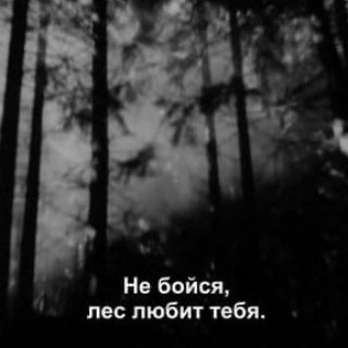 Логотип @lesvnutri - лес_внутри