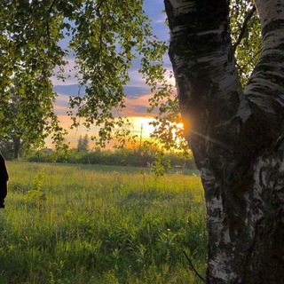 Логотип @letooo_2023 - Летняя атмосфера 🌾🌻