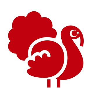 Логотип @lets_turkey - Образование и Жизнь в Турции