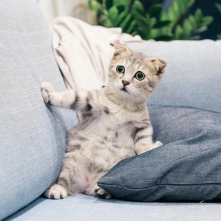 Логотип @letsreadsomenews - Вика читает новости