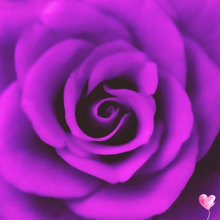 Логотип @level_live - Мотивация на день 💜