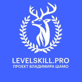 Логотип @levelskillpro - Онлайн-Школа LSP