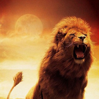 Логотип @levstavkii - Levstavki