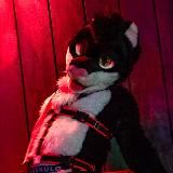 Логотип @lewdkittypics - Jamie's Play Sessions ❤️