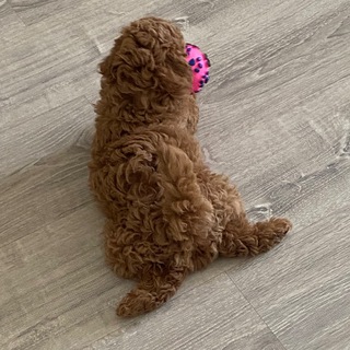 Логотип @lewwik - Жизнь Ричарда-Денни