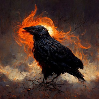 Логотип @lex_naturalis - Lex naturalis