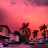 Логотип @leylicentia - leyla neyssi