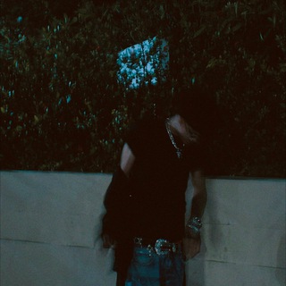 Логотип @li_neko_ny - Li Neko NY