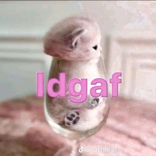 Логотип @liamnamedvezke - лям на медвежке