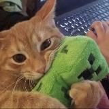 Логотип @liashkakriper - 😮‍💨