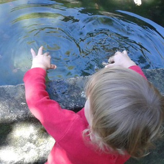 Логотип @liberaeducazionebg - Rete Cascina Gervasoni per la libera educazione