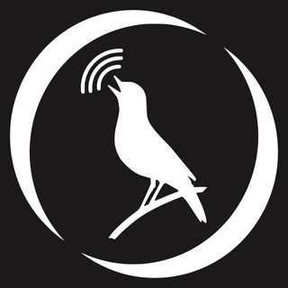 Логотип @libertarian_trill - Либертарная трель