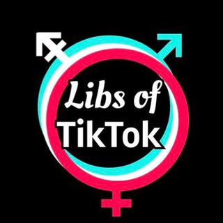 Логотип @libsontiktok - Libs of TikTok Fans