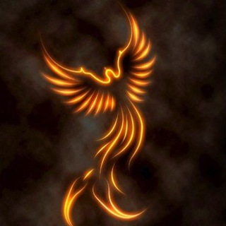 Логотип @lichtdesphoenix - Phönix