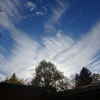 Логотип @lichtmenschorgonit - Licht Mensch