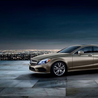 Логотип @liderbeztitulasharma - Лидер без титула. Р. Шарма