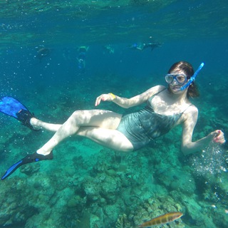 Логотип @lidipedia - Лидипедия