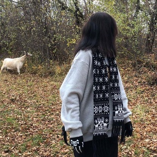 Логотип @lieswen - постеры >>>