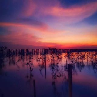 Логотип @life_23054 - Отзывы биотюн/дрон