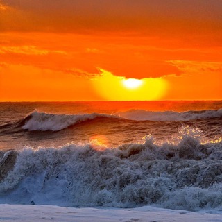 Логотип @life_china - Golden Nutraceuticals