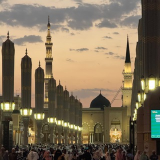 Логотип @life_in_medina - Жизнь в Медине 🇸🇦