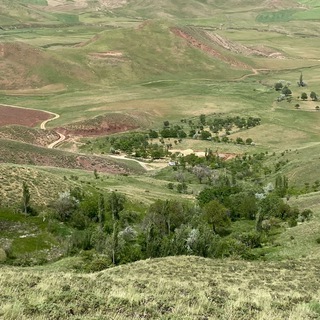 Логотип @life_in_nature - زندگی در طبیعت