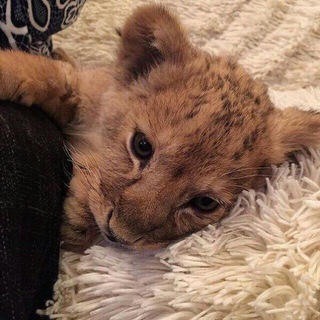 Логотип @life_is_1 - Life is..🖇💌