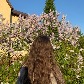 Логотип @lifealisaetotresh - Чат🍇